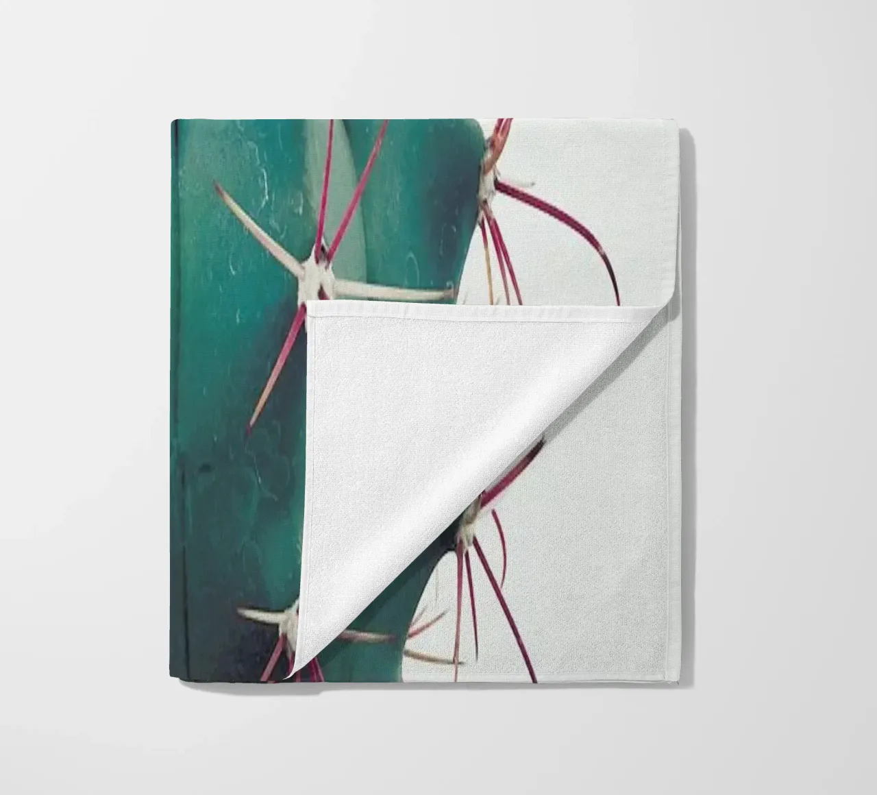 Ferocactus telo mare da Cassia Beck Photography