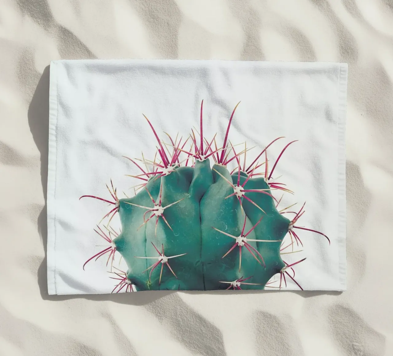 Ferocactus telo mare da Cassia Beck Photography