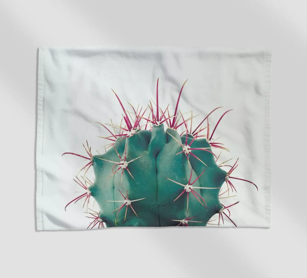 Ferocactus telo mare da Cassia Beck Photography
