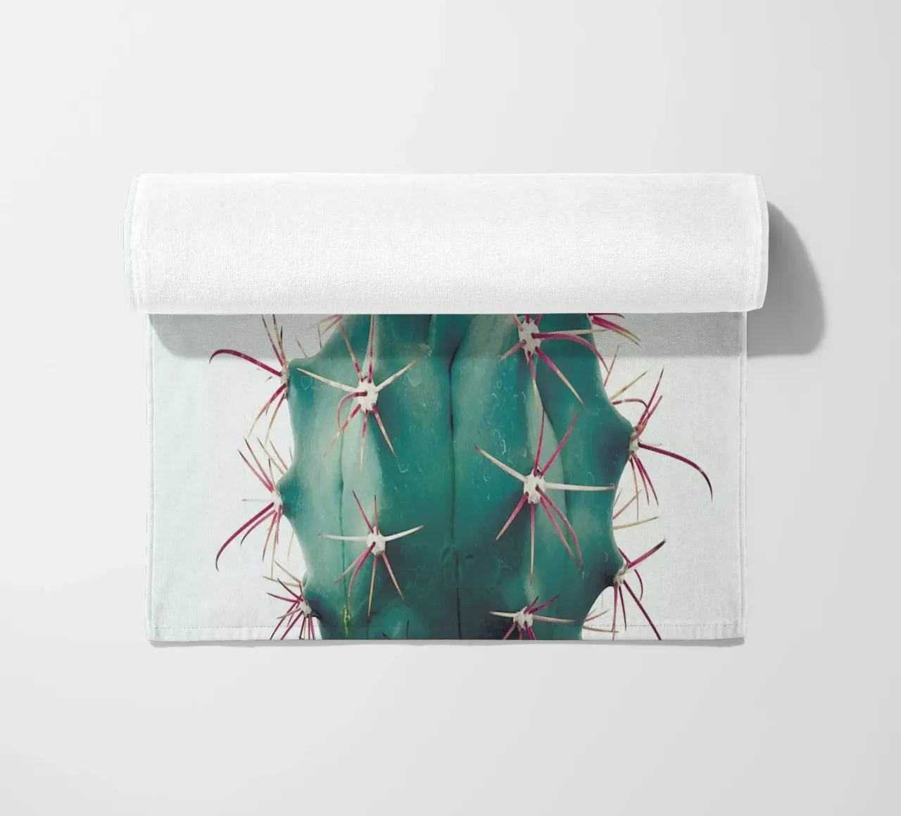 Ferocactus telo mare da Cassia Beck Photography