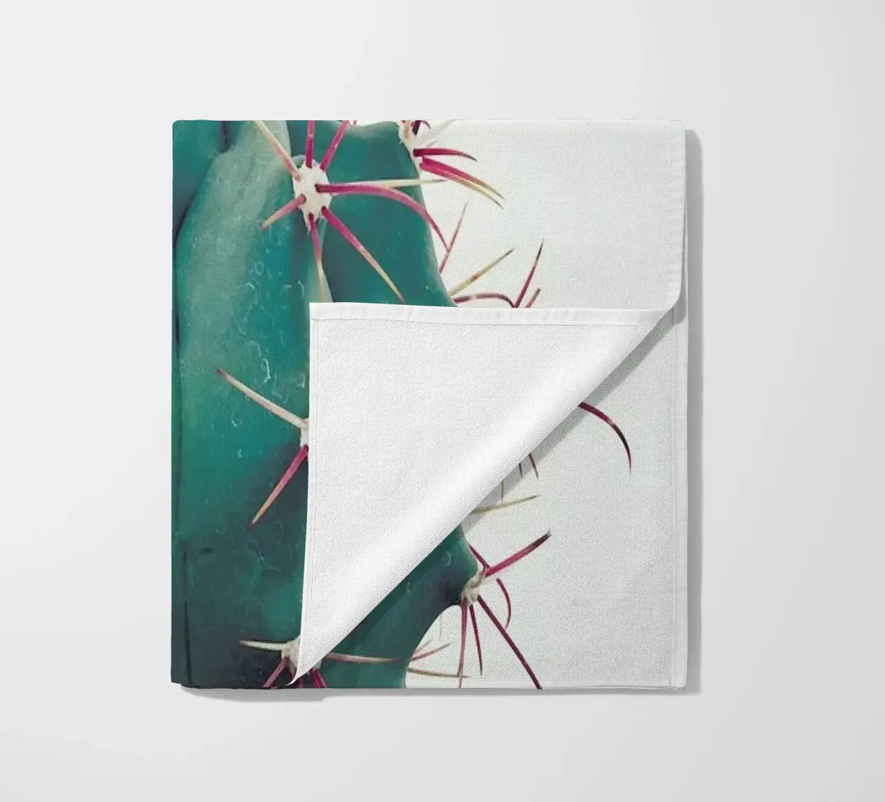 Ferocactus telo mare da Cassia Beck Photography