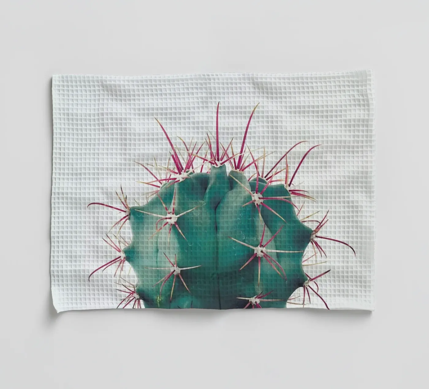 Ferocactus tea towel by Cassia Beck Photography