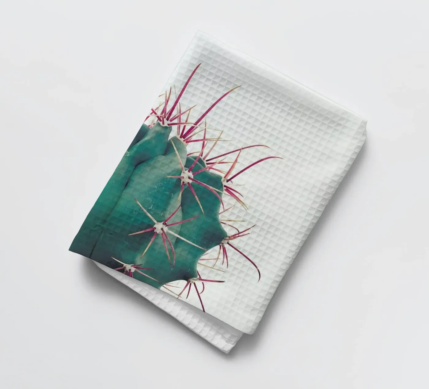 Ferocactus tea towel by Cassia Beck Photography