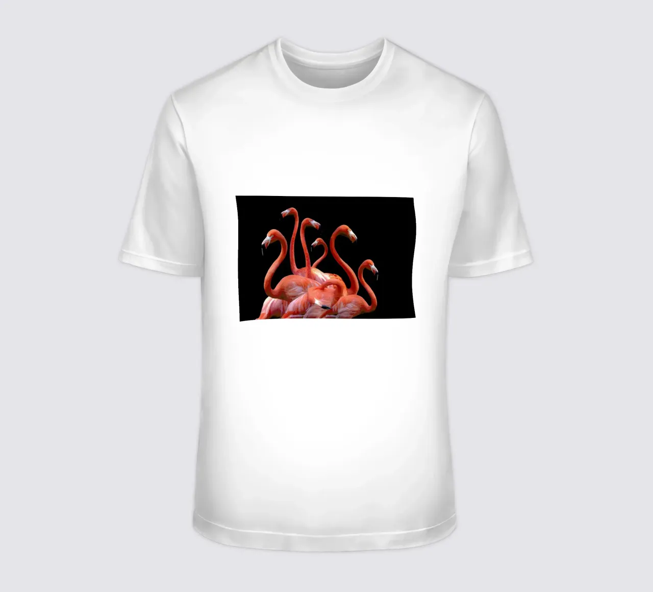 Flamingo Band by @nodar t-shirt da EyeEm Mobile GmbH