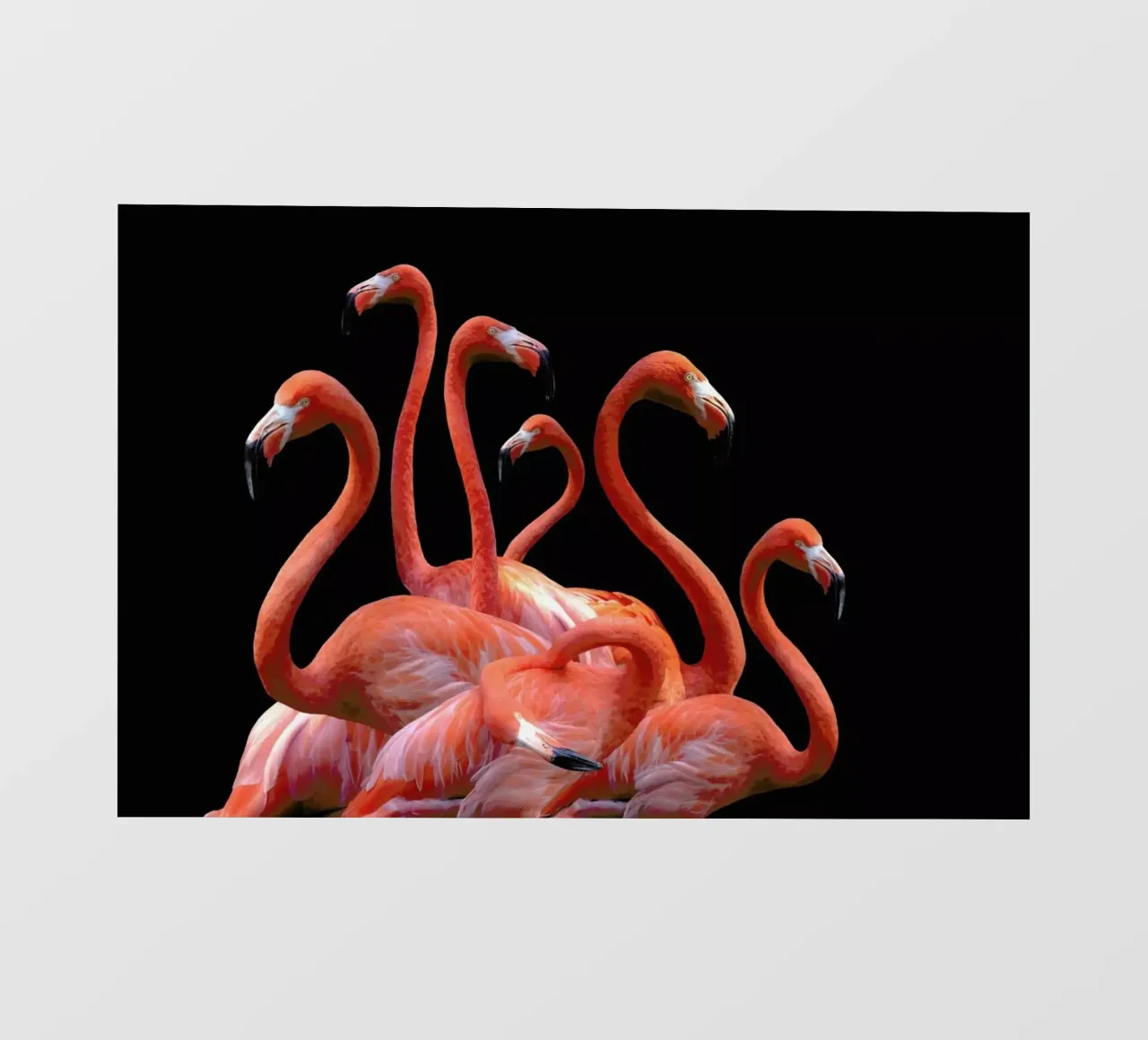 Flamingo Band by @nodar telo in pvc da EyeEm Mobile GmbH