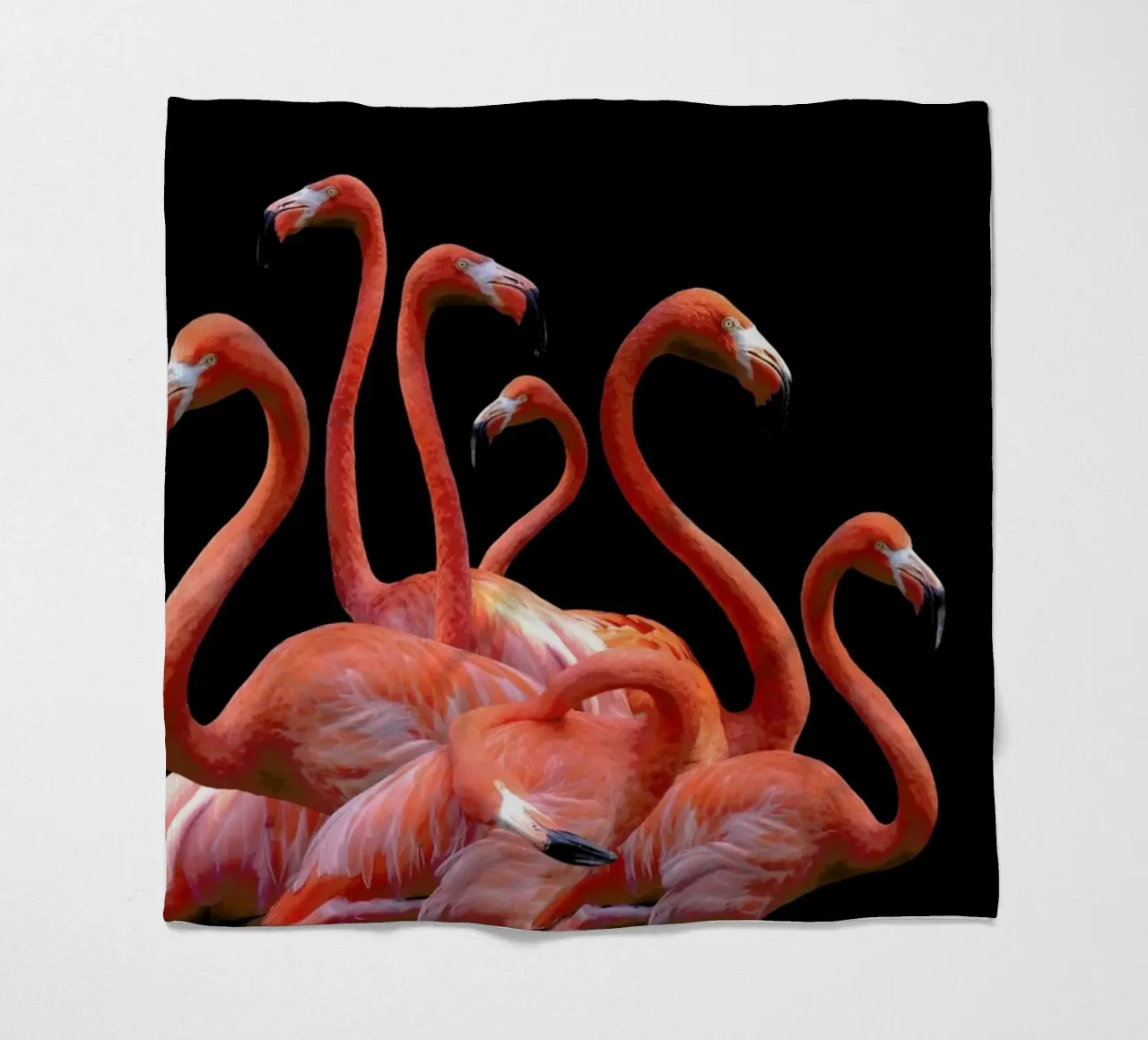Flamingo Band by @nodar coperta in pile da EyeEm Mobile GmbH