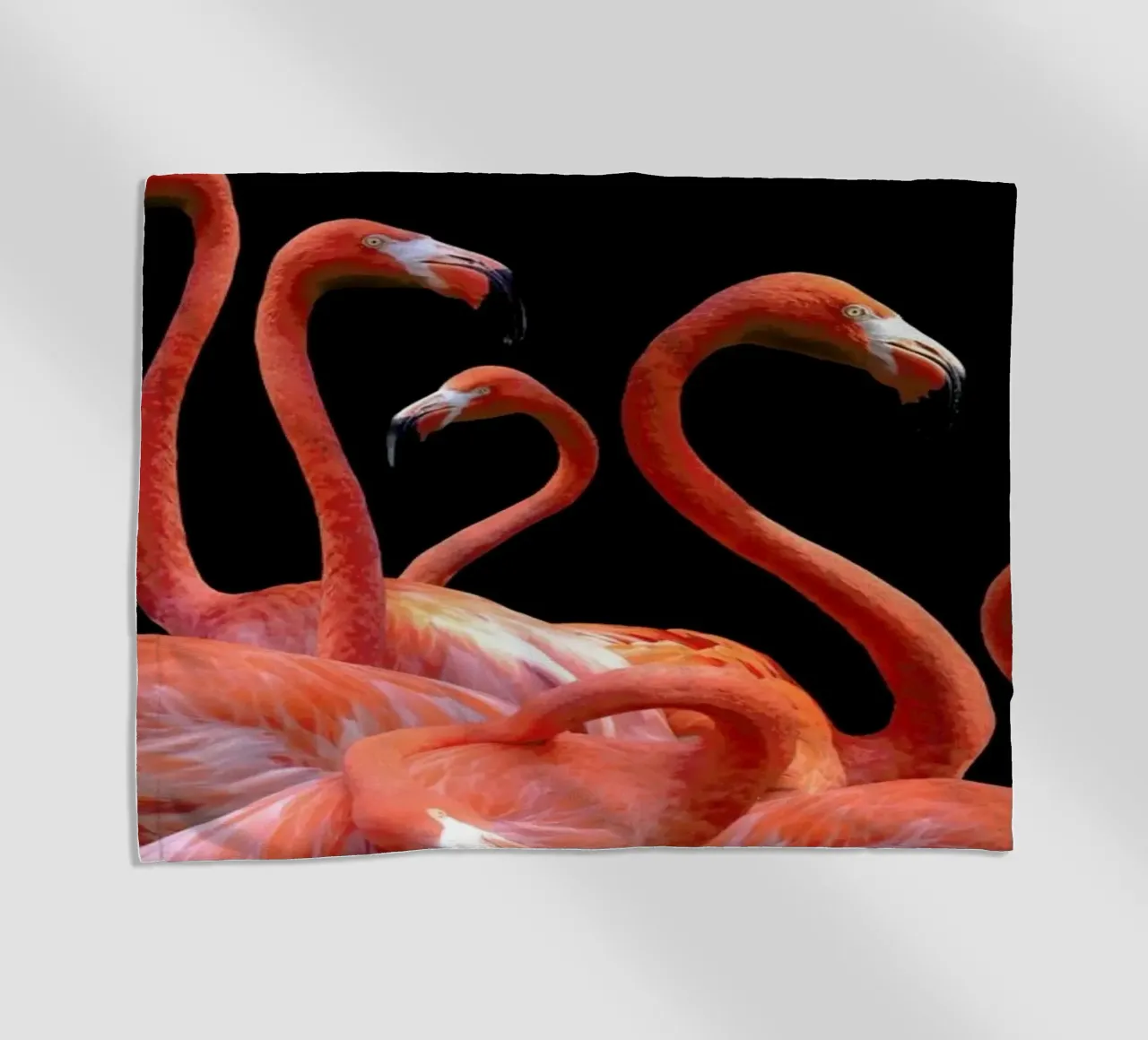 Flamingo Band by @nodar telo mare da EyeEm Mobile GmbH