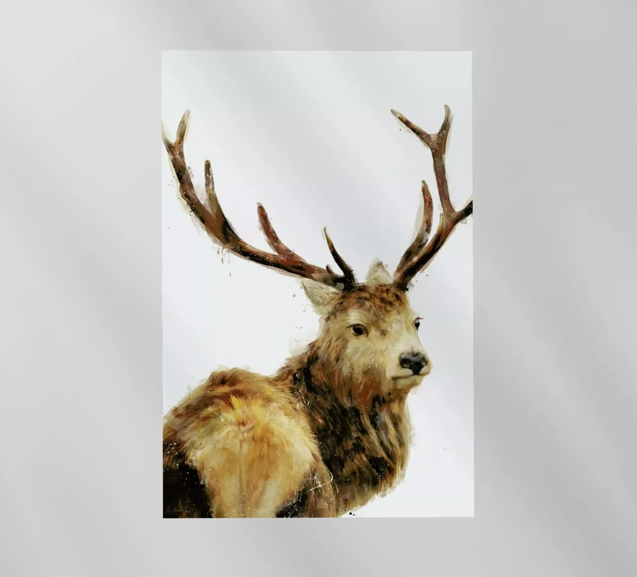 Winter Red Deer pellicola backlit da Amy Hamilton