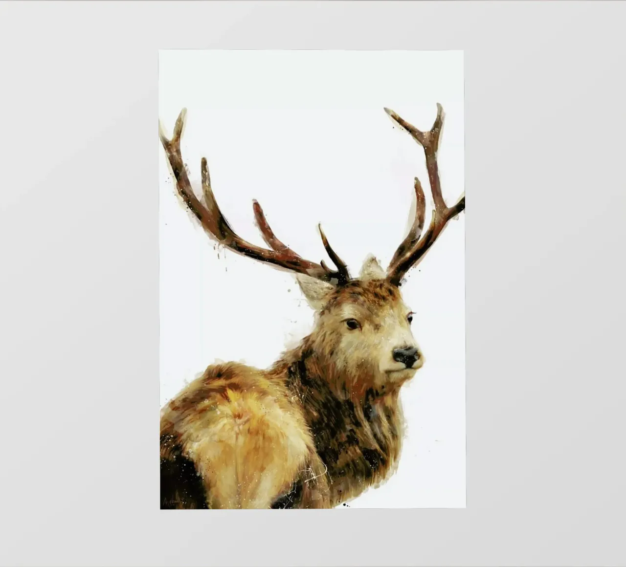 Winter Red Deer pellicola backlit da Amy Hamilton