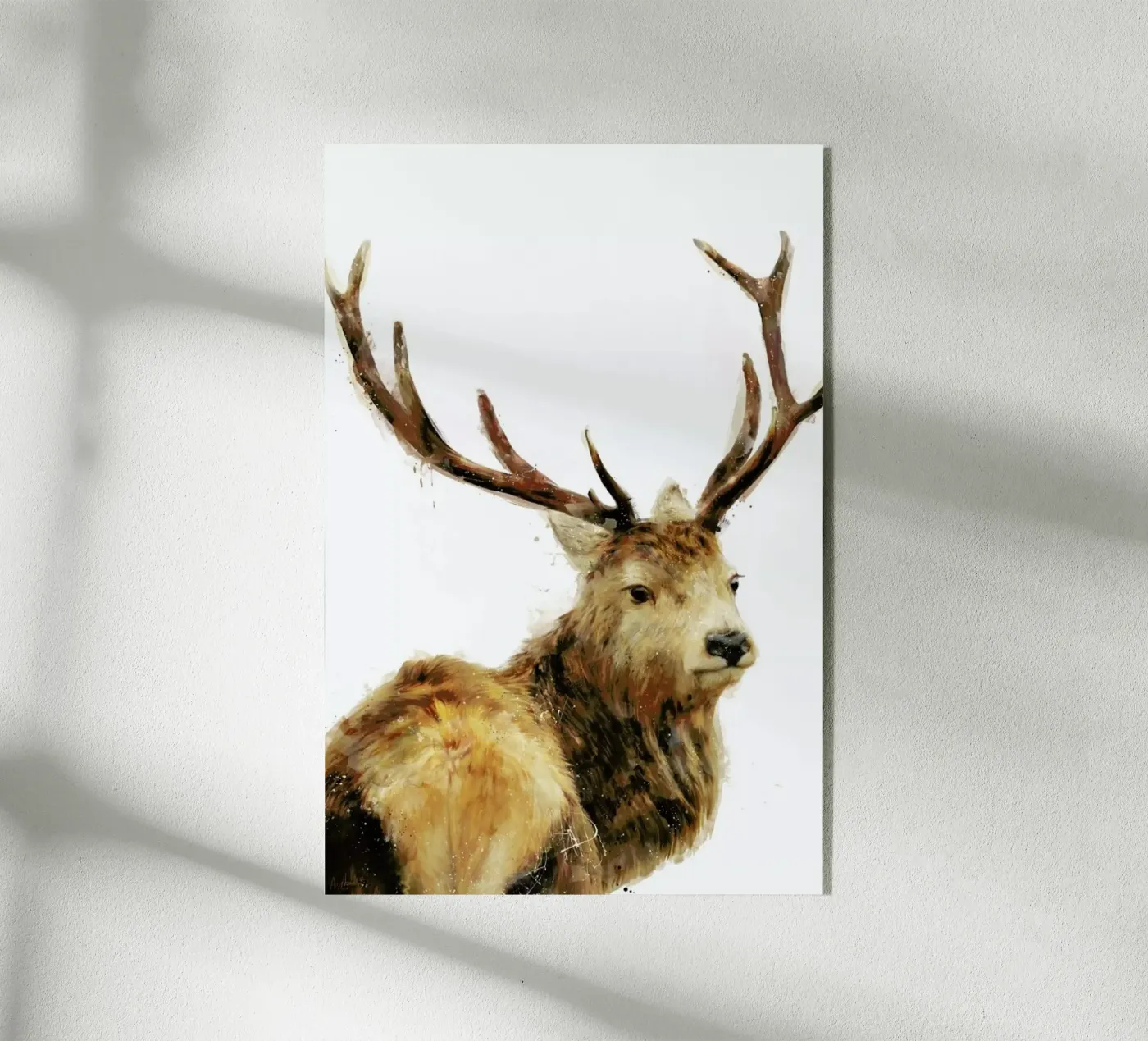 Winter Red Deer acrylic glass by Amy Hamilton