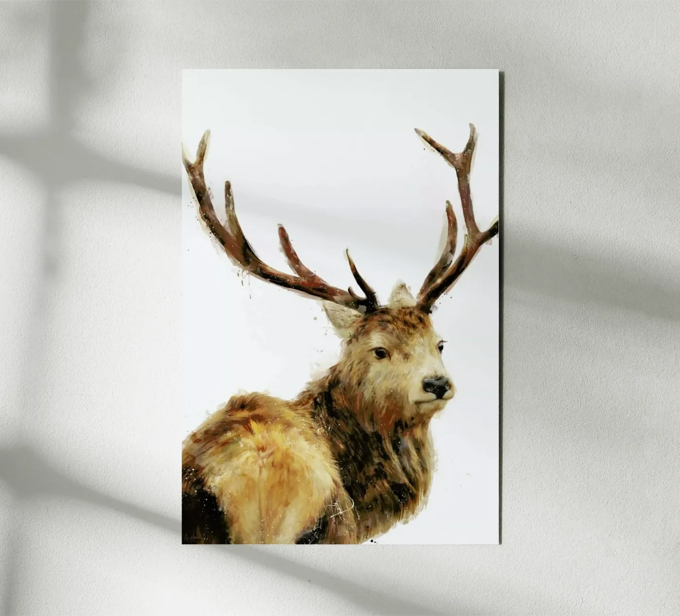 Winter Red Deer forex plate by Amy Hamilton