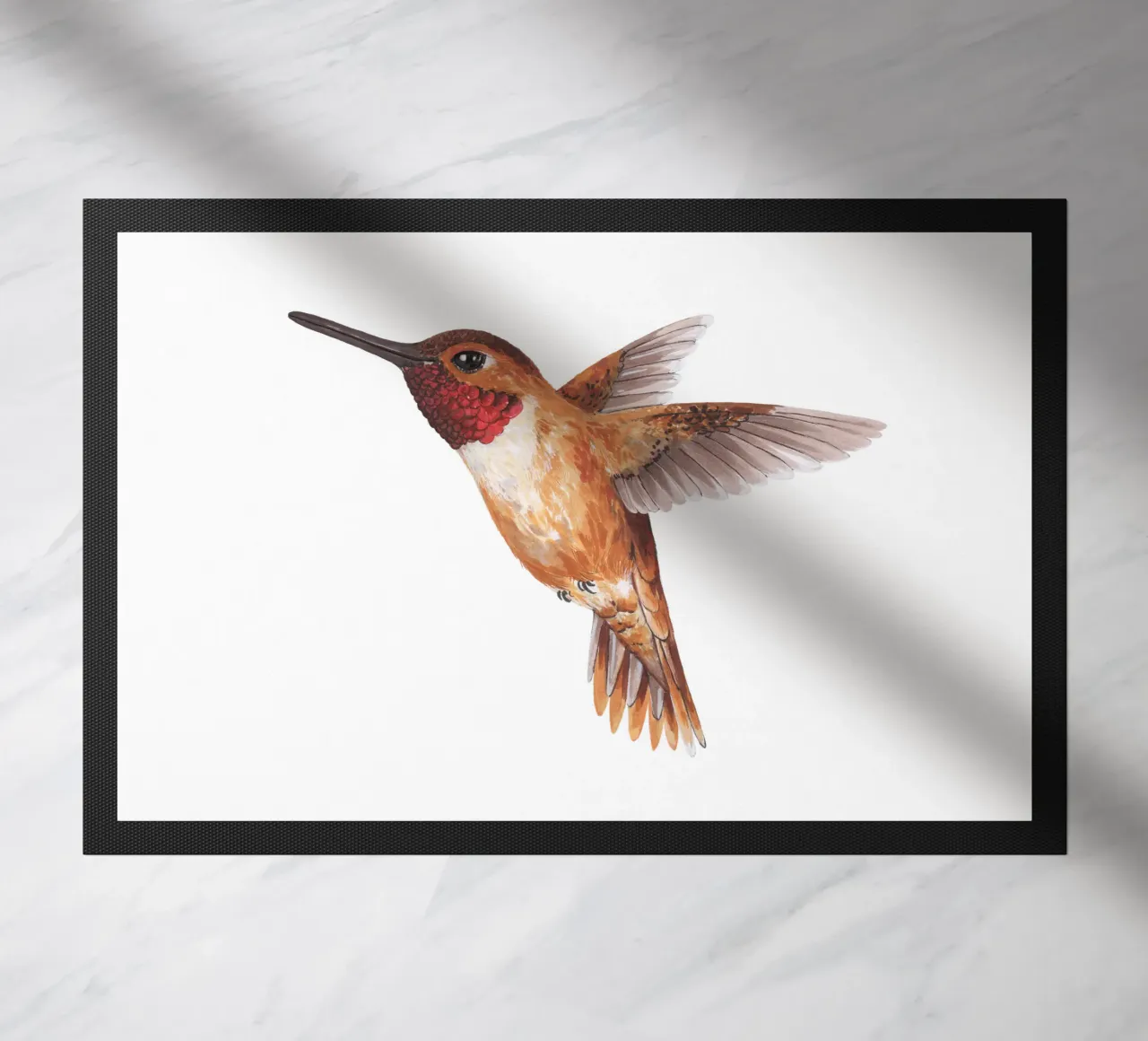 Colibrì zerbino da Painted Nature