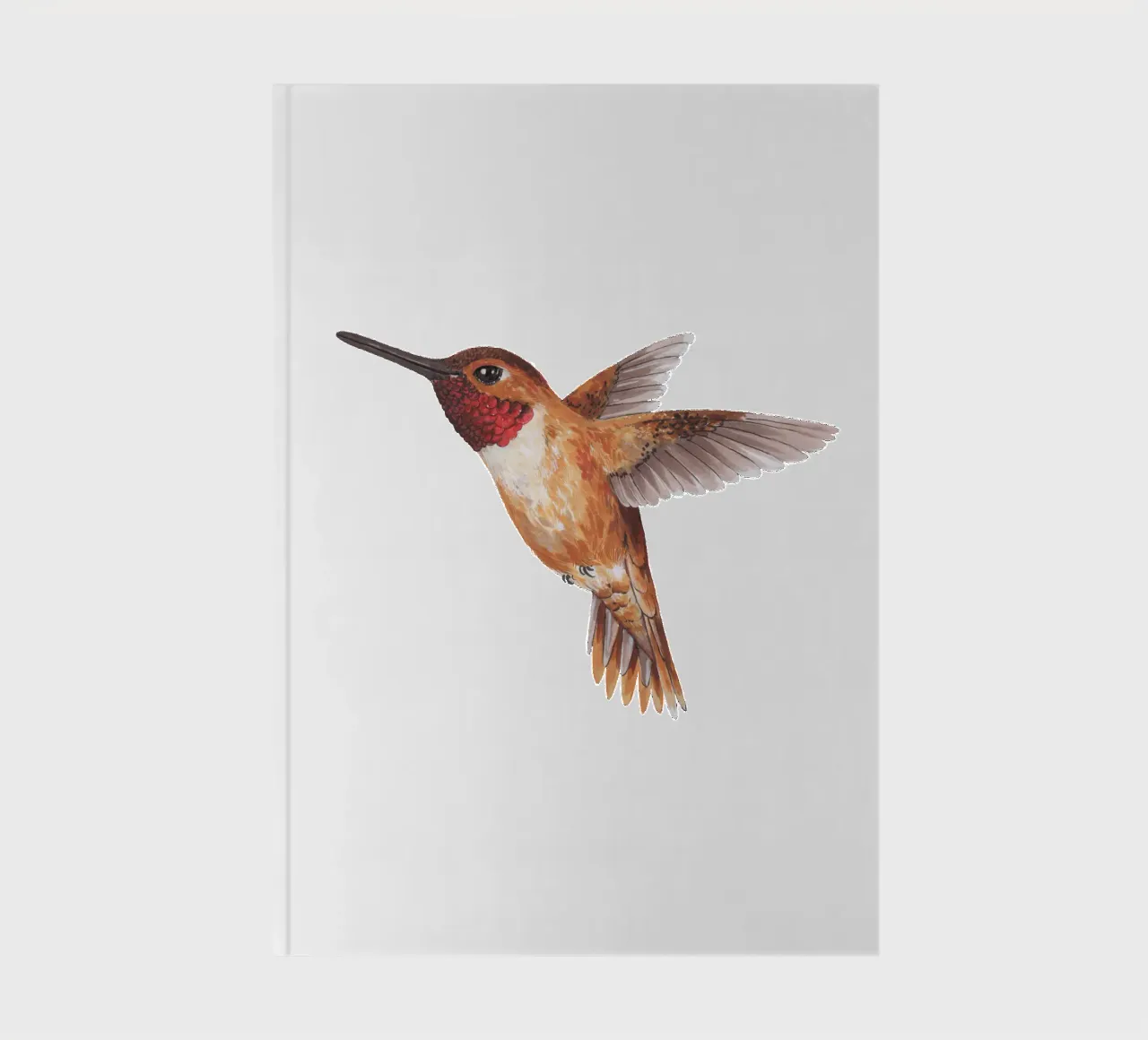 Hummingbird notebook by Painted Nature