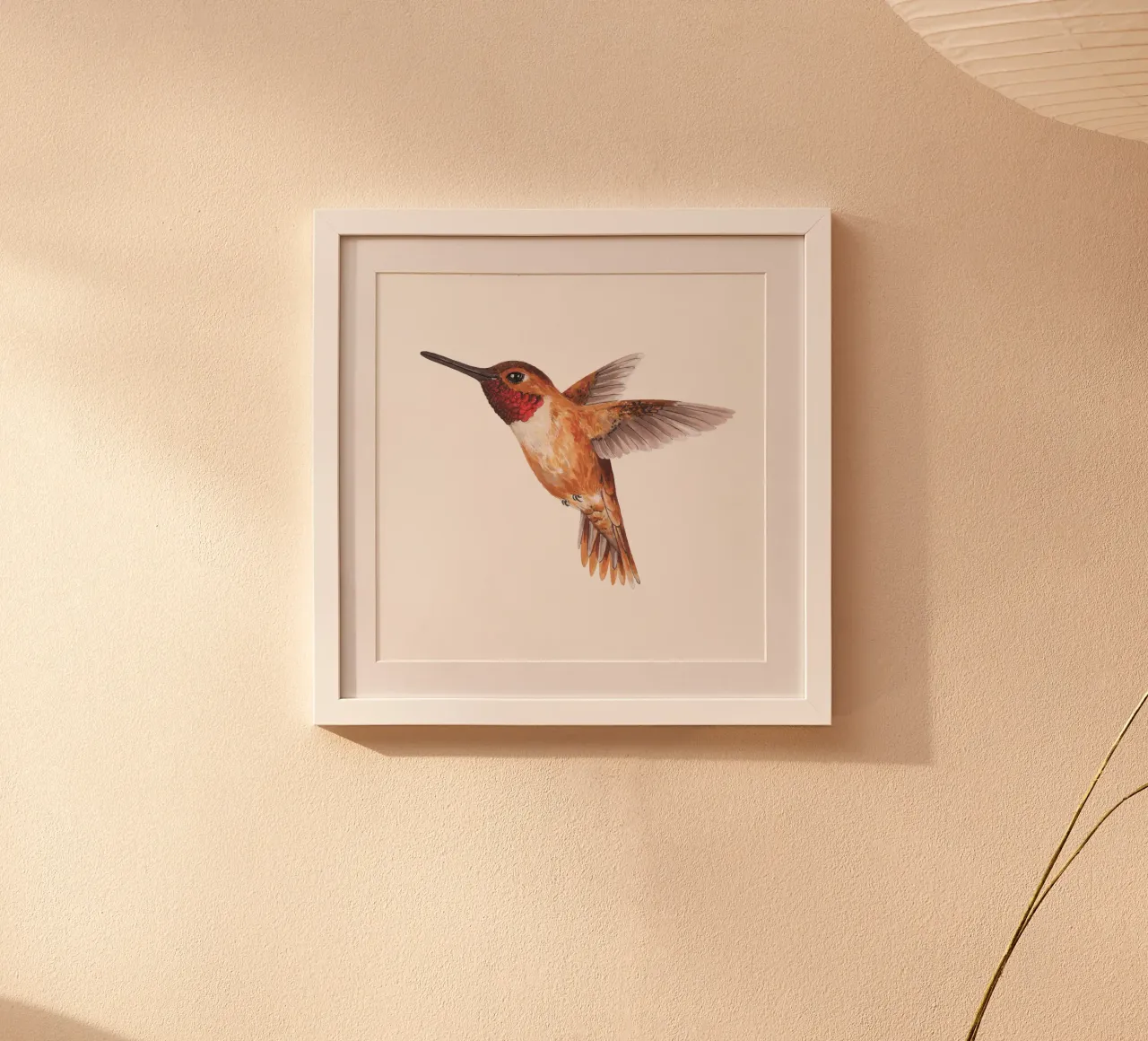 Colibrì poster da Painted Nature