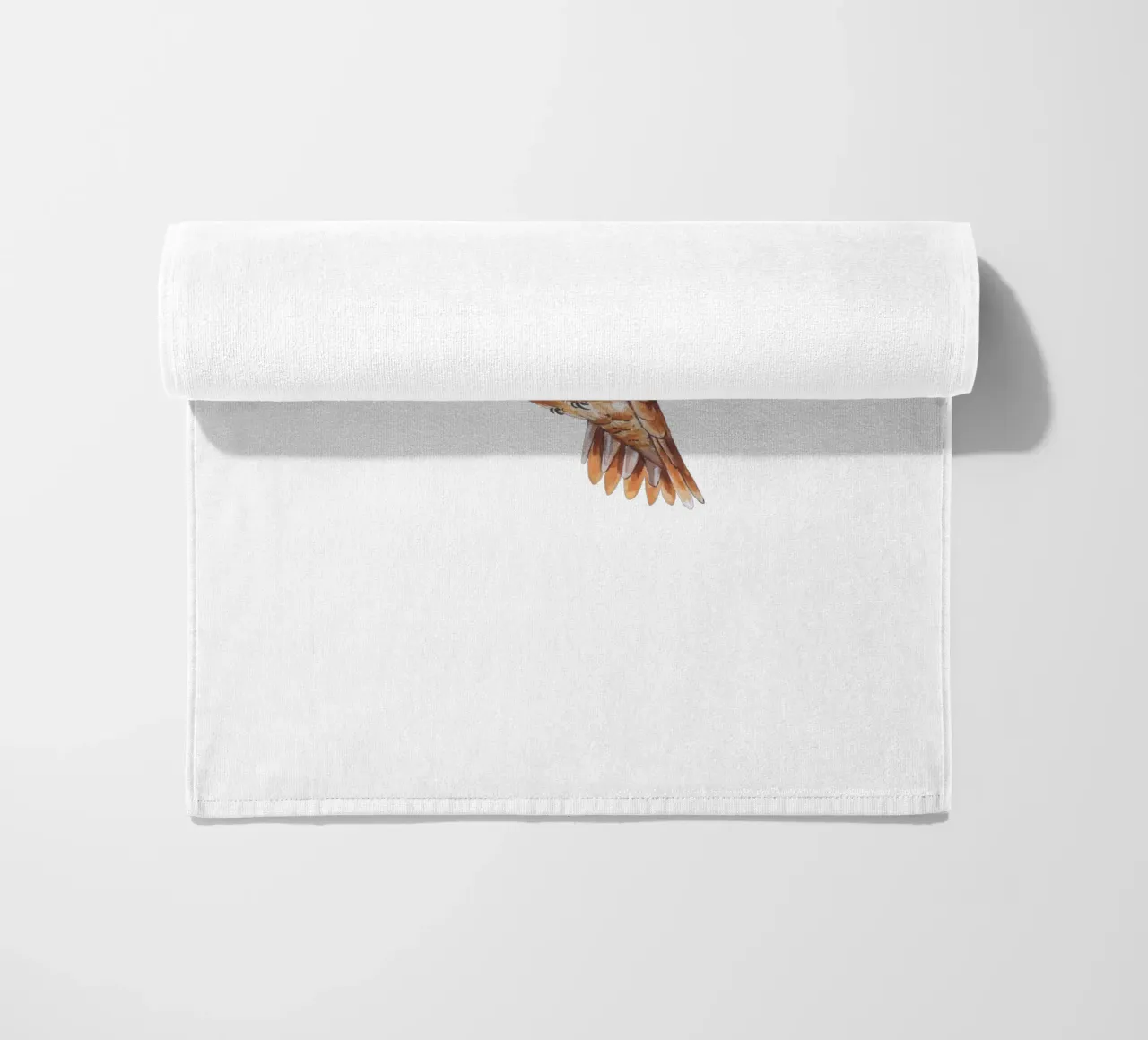 Colibrì telo mare da Painted Nature