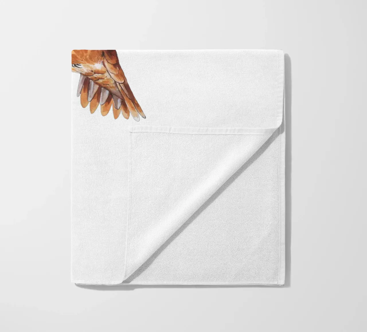 Colibrì telo mare da Painted Nature