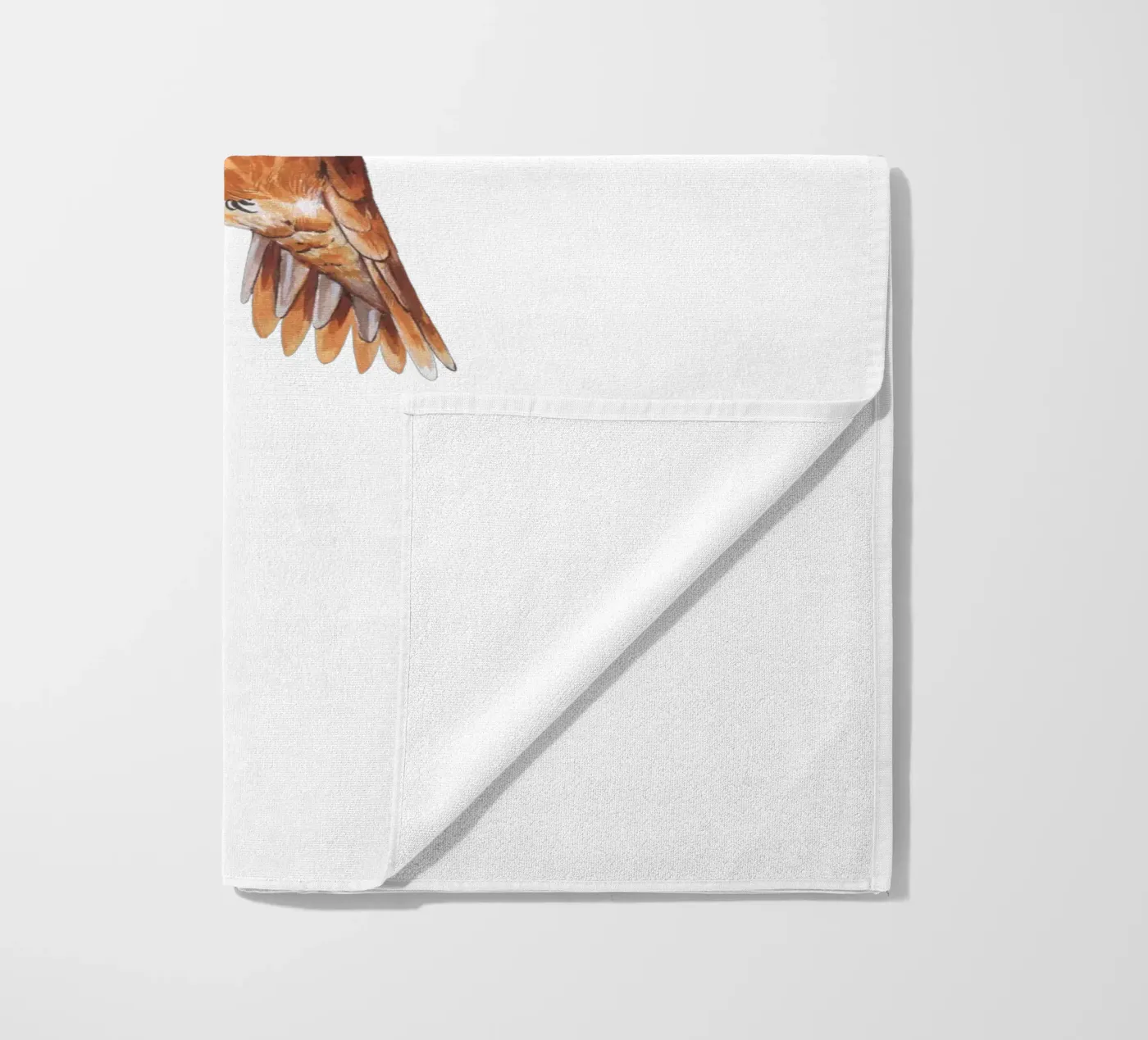 Colibrì telo mare da Painted Nature