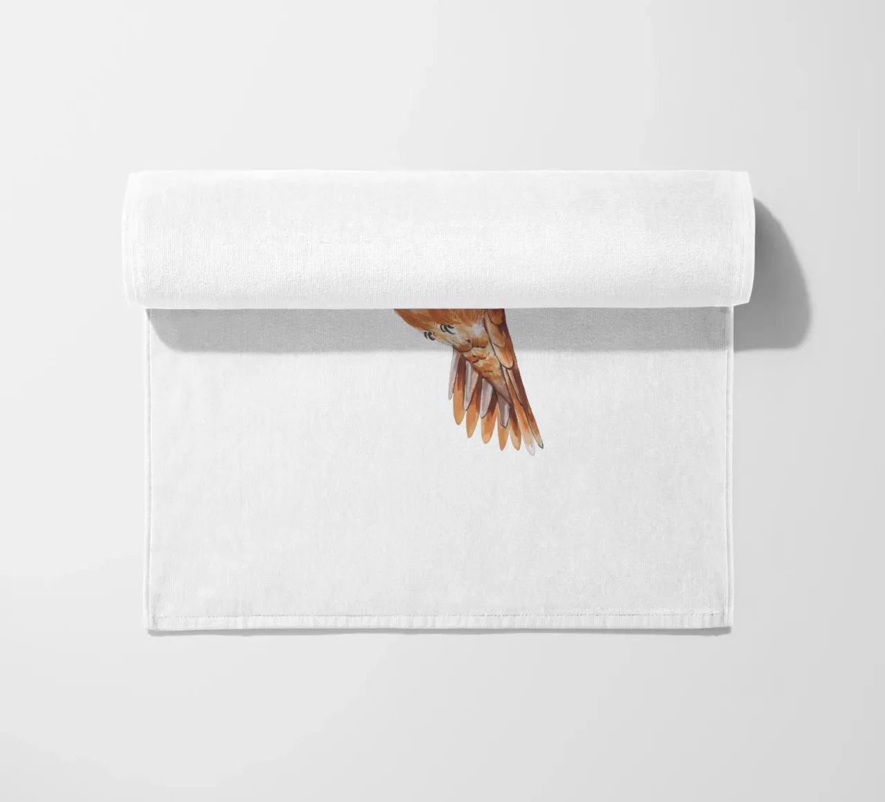 Colibrì telo mare da Painted Nature