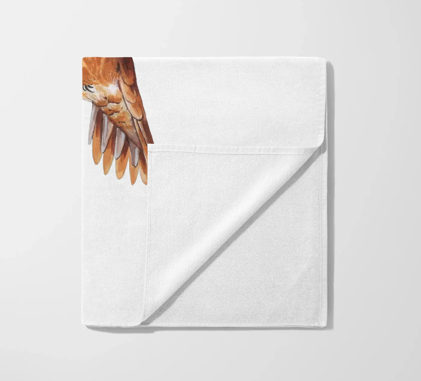 Colibrì telo mare da Painted Nature