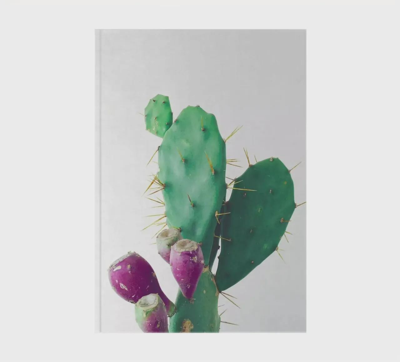 Prickly Pear notebook by Cassia Beck Photography