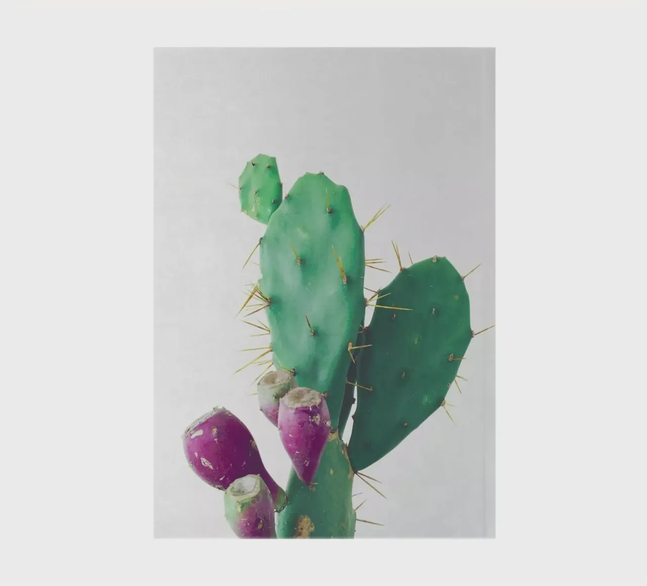 Prickly Pear notebook by Cassia Beck Photography