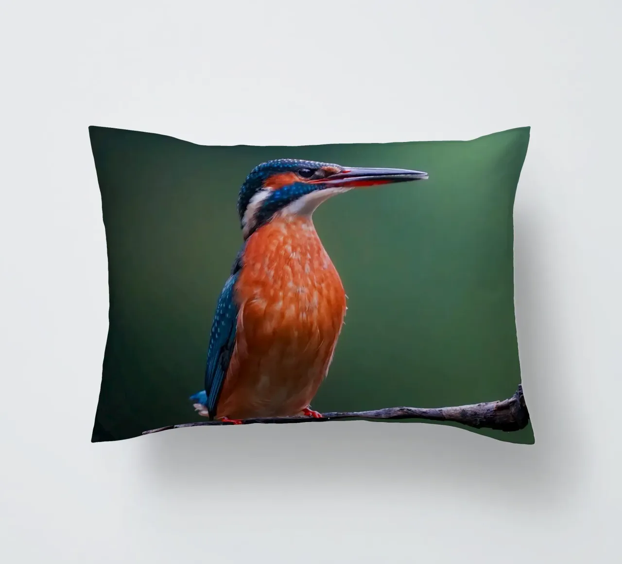 Martin pescatore cuscino da Tom's Wildlife