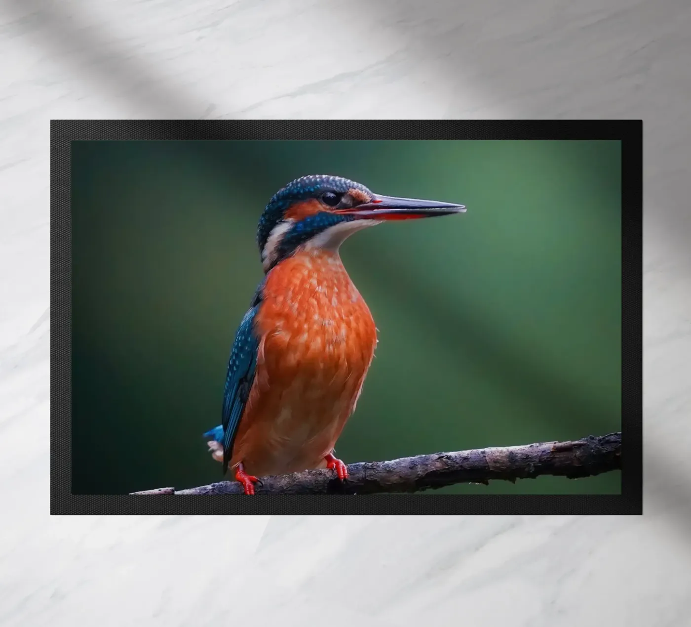 Kingfisher doormat by Tom's Wildlife