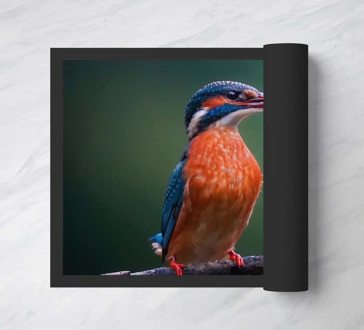 Kingfisher doormat by Tom's Wildlife