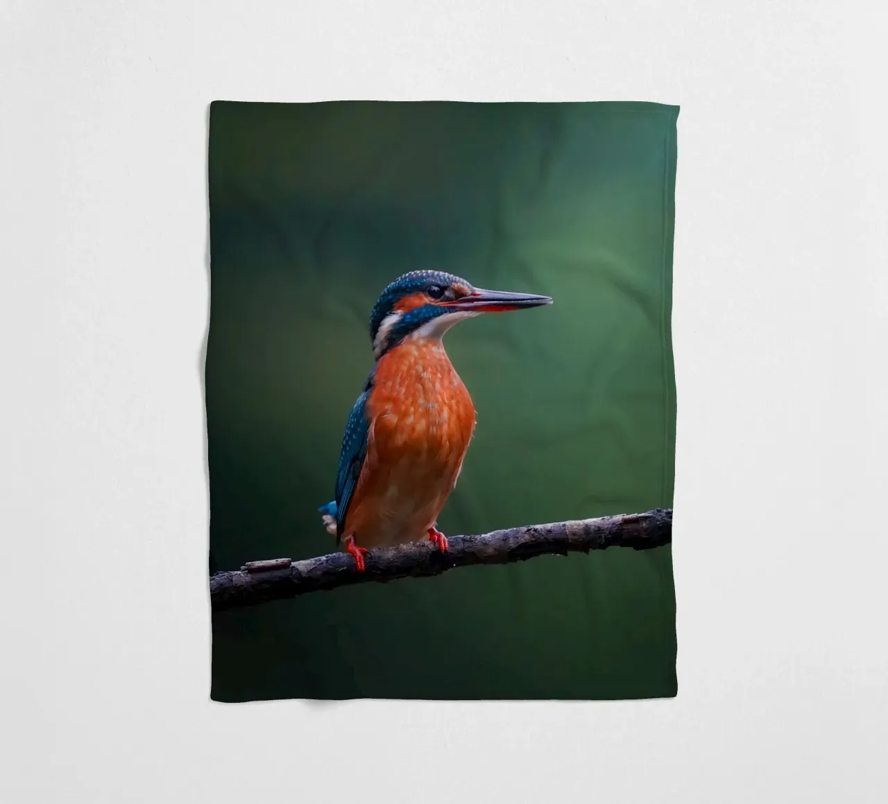 Martin pescatore coperta in pile da Tom's Wildlife