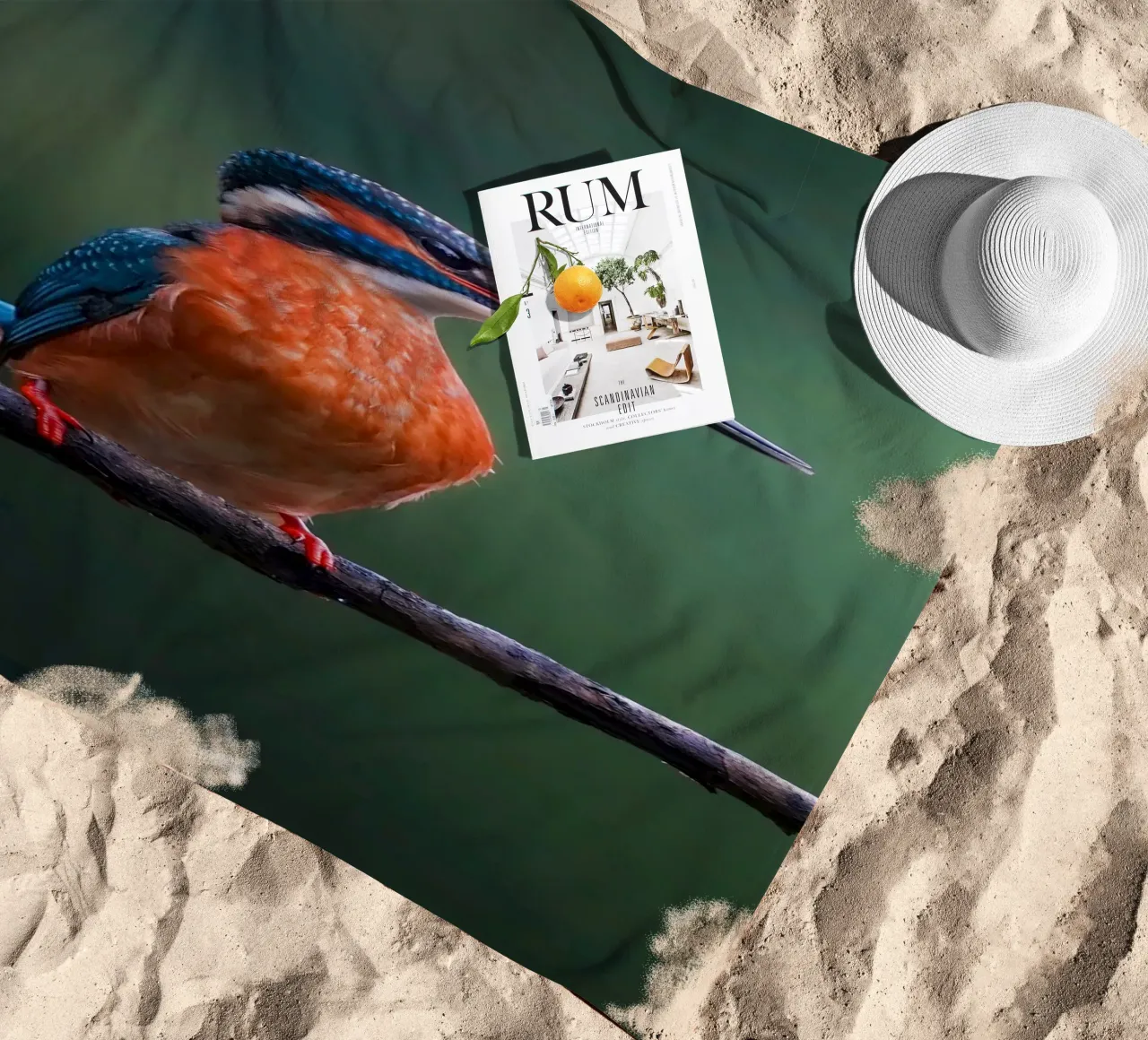 Martin pescatore telo mare da Tom's Wildlife