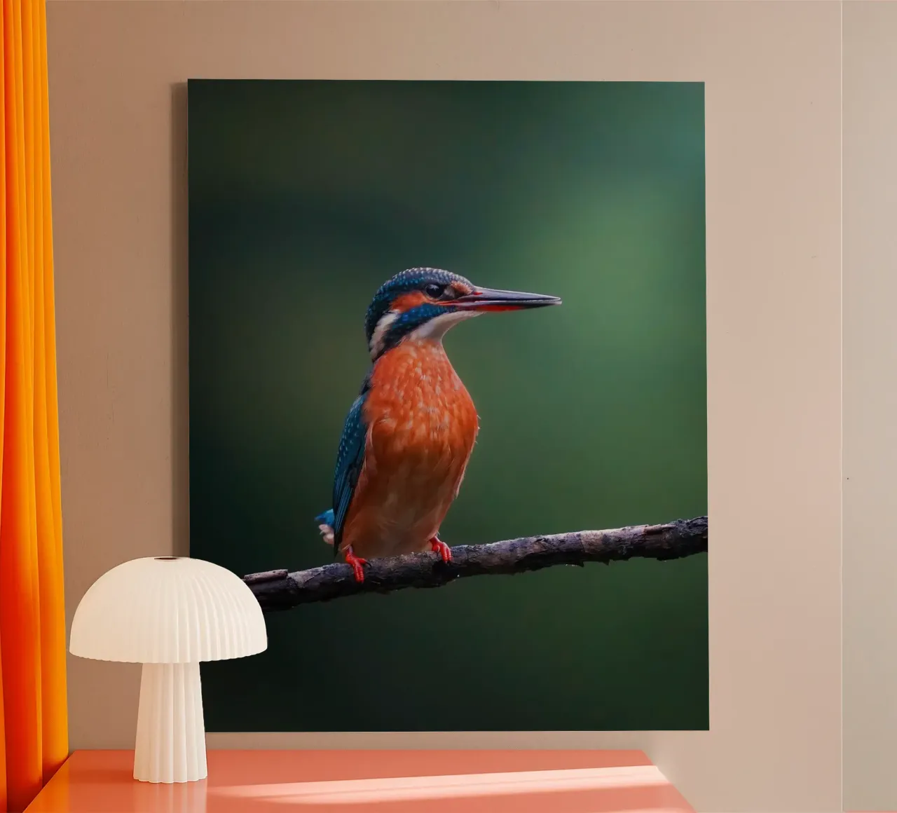Martin pescatore tela con Cornice a cassetta da Tom's Wildlife