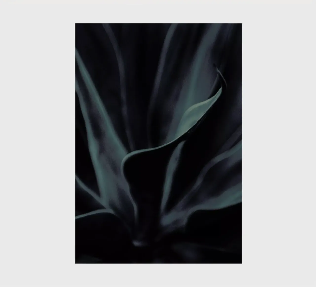 Palms-1823 notebook by Chris Abatzis