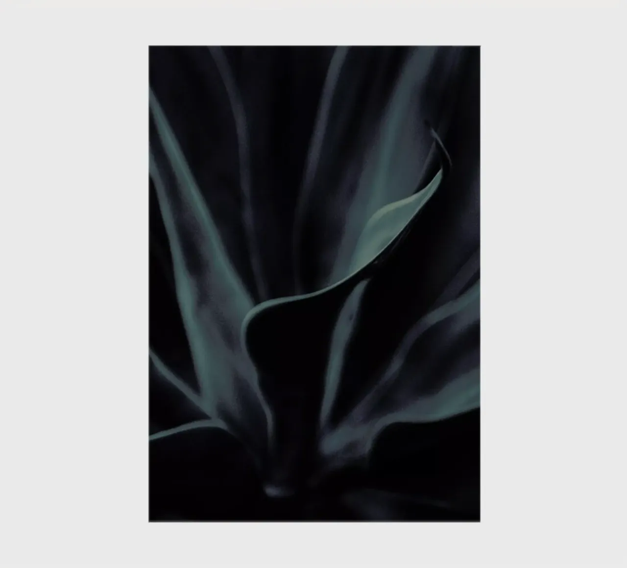 Palms-1823 notebook by Chris Abatzis