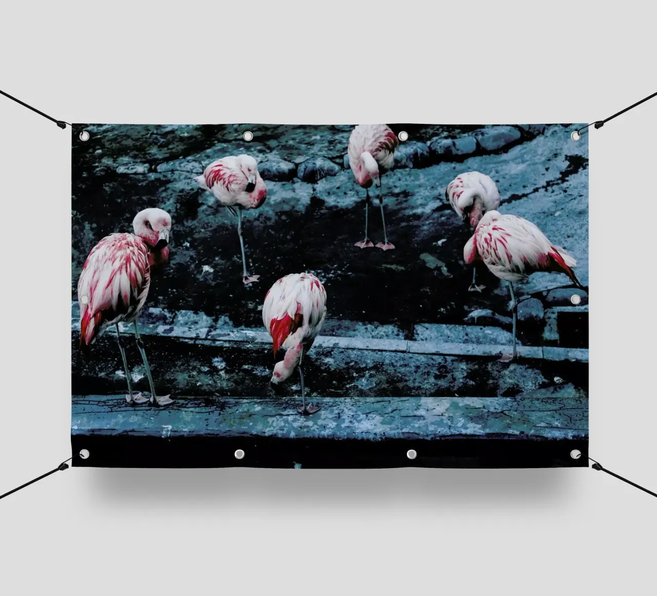 Flamingos by @esspeshal telo in pvc da EyeEm Mobile GmbH