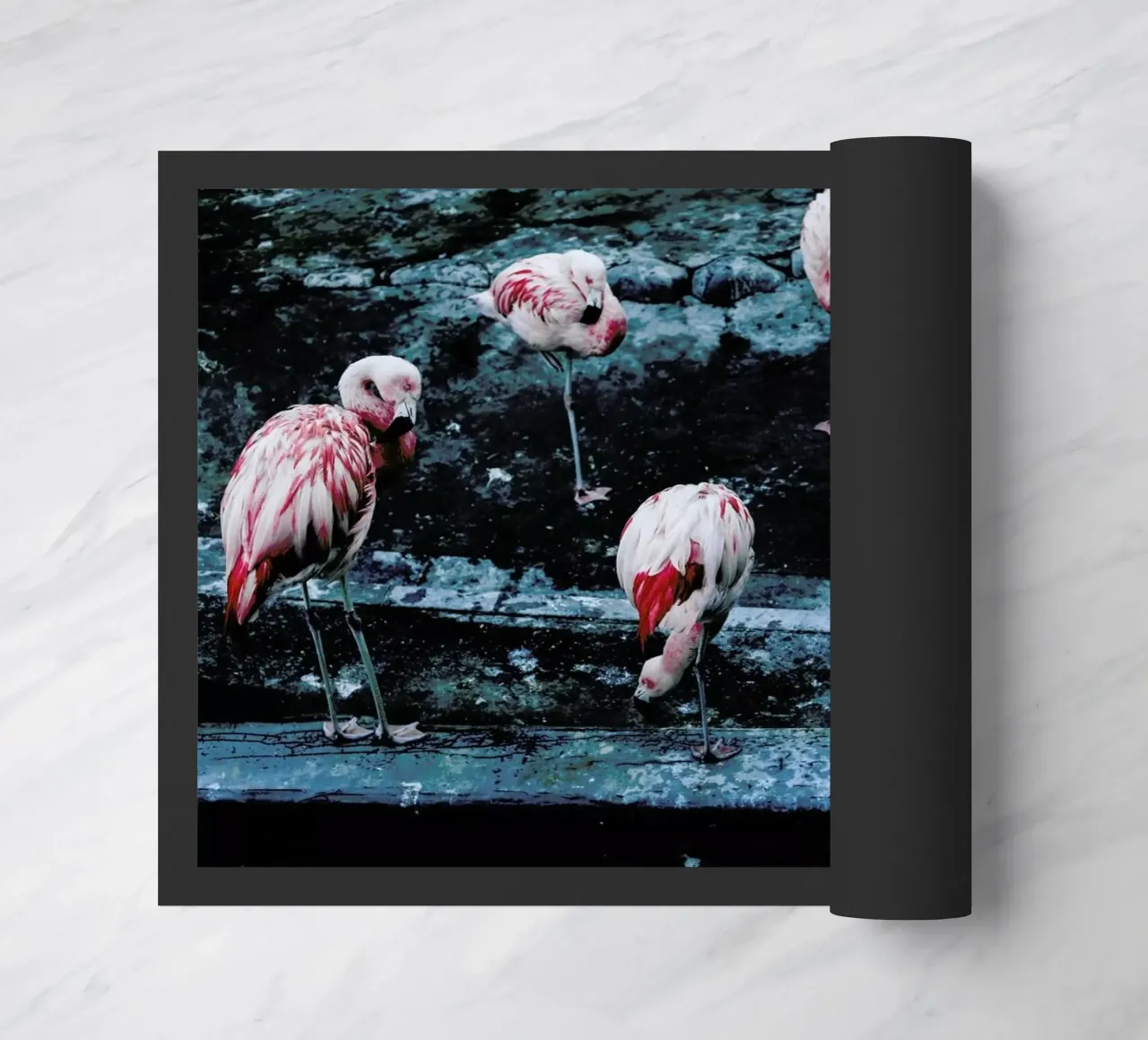 Flamingos by @esspeshal zerbino da EyeEm Mobile GmbH