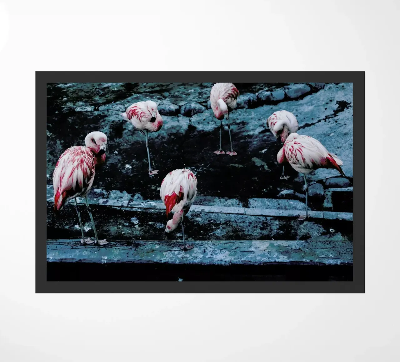 Flamingos by @esspeshal zerbino da EyeEm Mobile GmbH