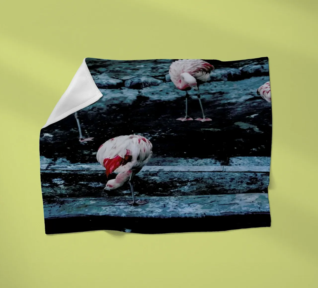 Flamingos by @esspeshal coperta in pile da EyeEm Mobile GmbH