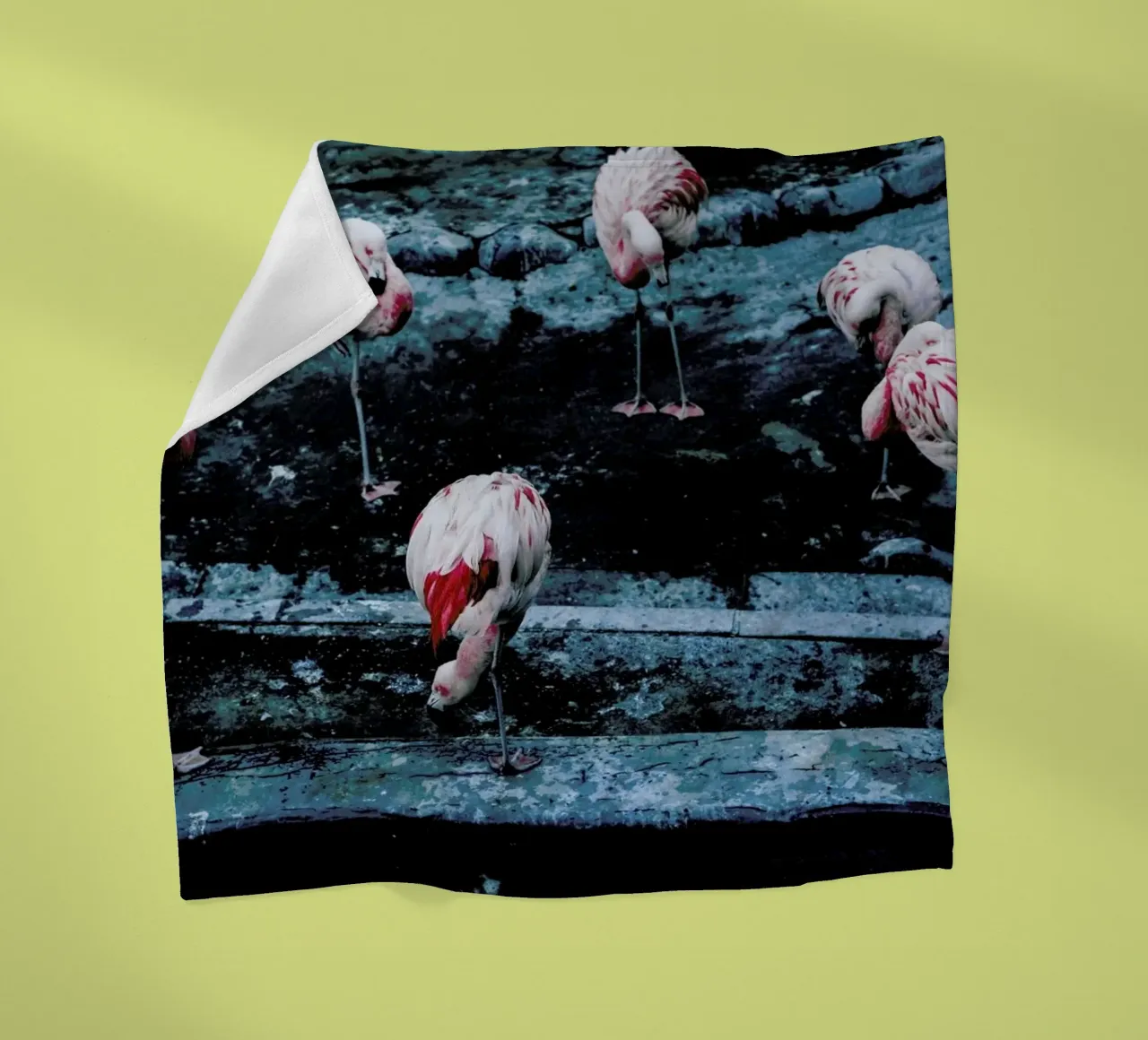 Flamingos by @esspeshal coperta in pile da EyeEm Mobile GmbH