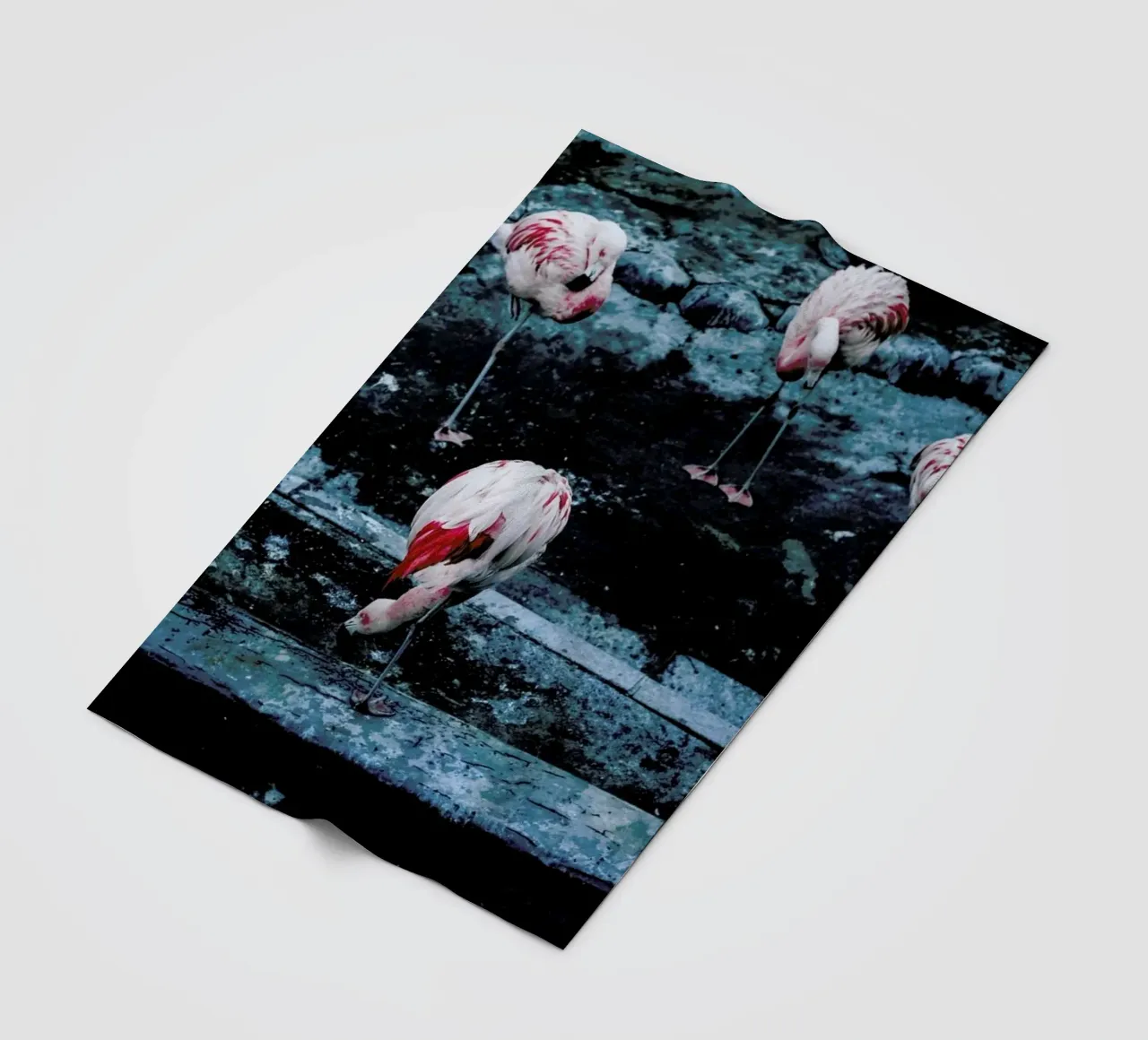 Flamingos by @esspeshal coperta in pile da EyeEm Mobile GmbH