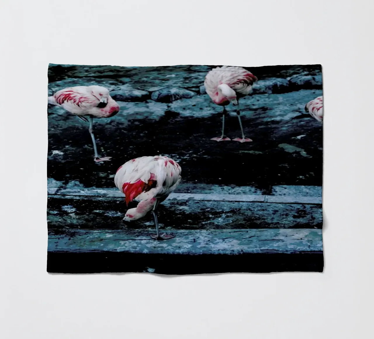 Flamingos by @esspeshal coperta in pile da EyeEm Mobile GmbH