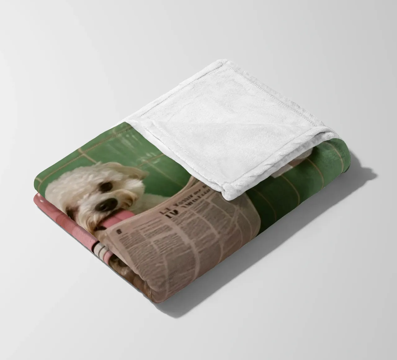 Malteser liest Zeitung coperta in pile da NORDLICHT DESIGNS