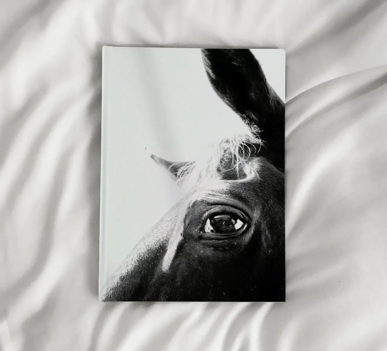 Eye of the Beholder notebook by Victoria Frost