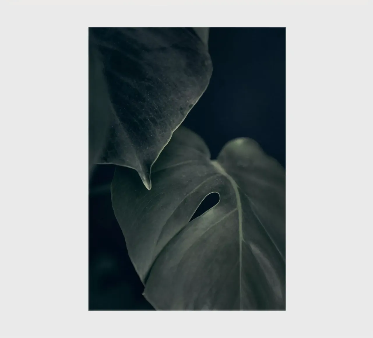 Moody Monstera 1 notebook by Klaus with K