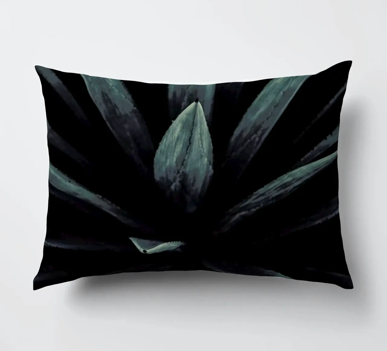 Palms-2397 decorative cushion by Chris Abatzis
