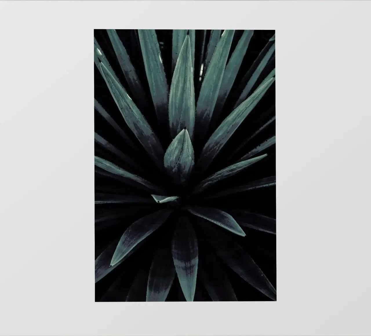 Palms-2397 telo in pvc da Chris Abatzis