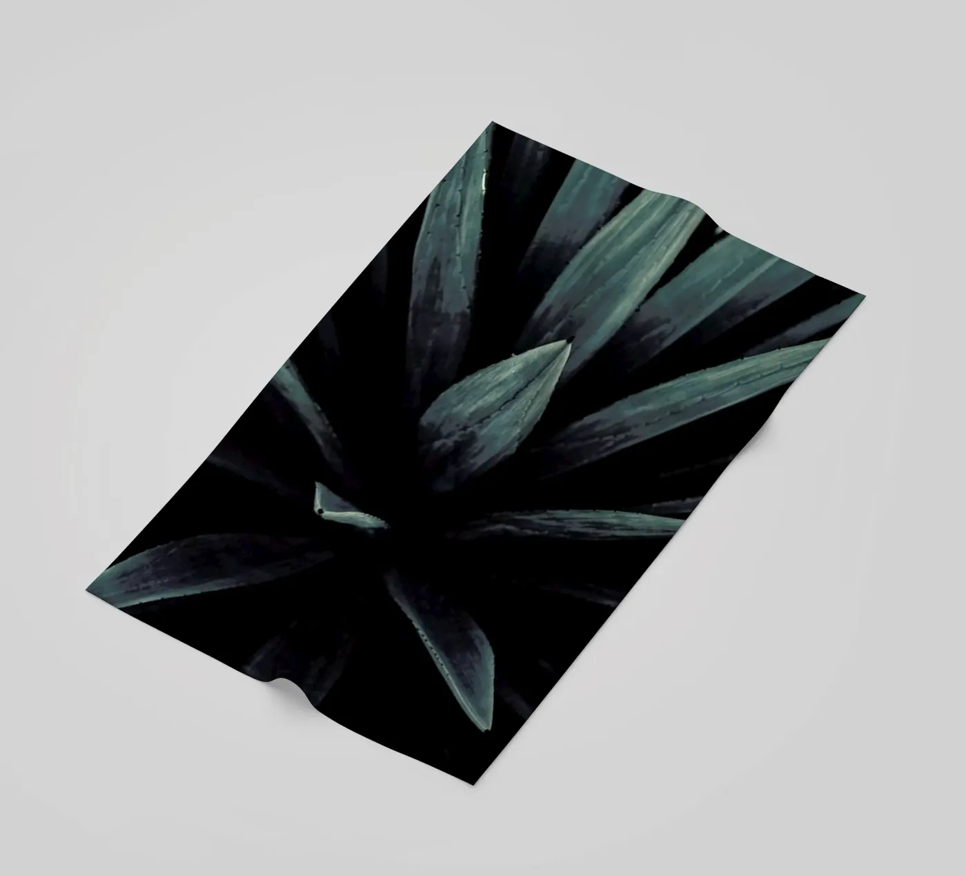 Palms-2397 telo mare da Chris Abatzis