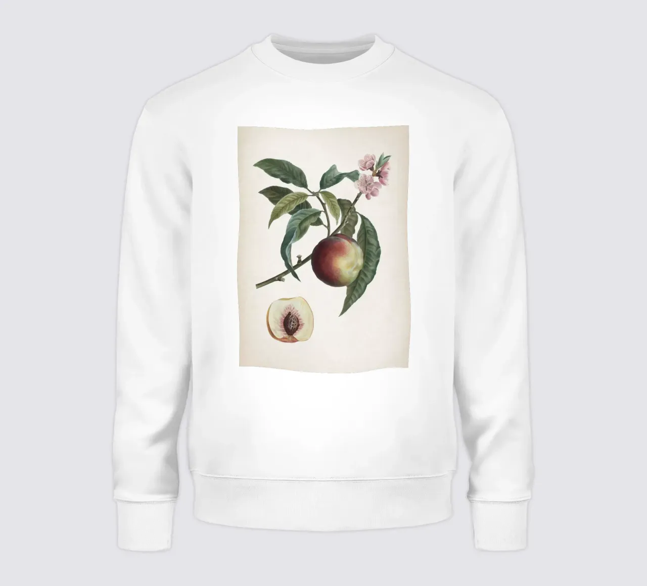 Vintage Redouté 1 Persica Vulgaris felpa da Vintage Print Collection