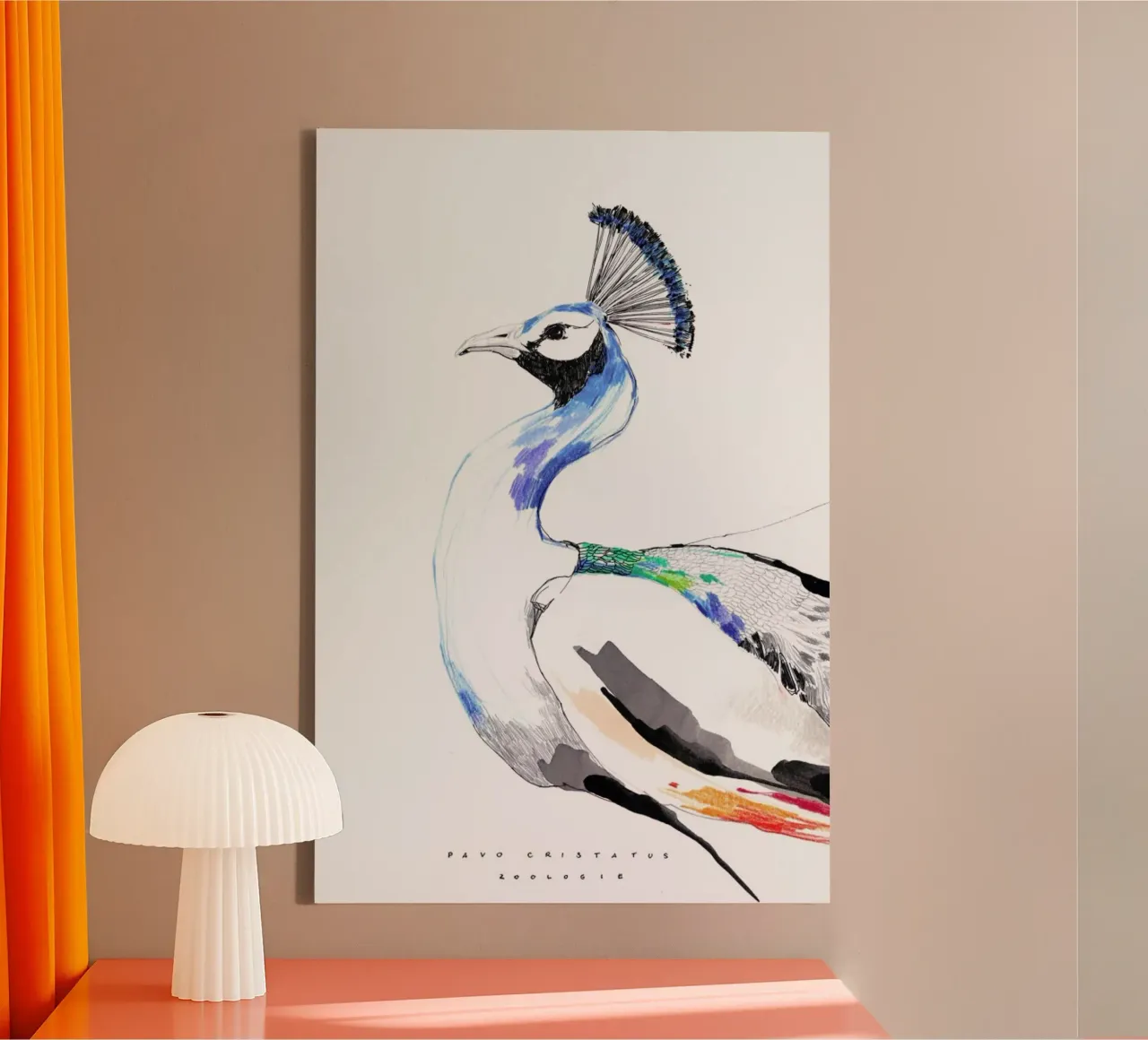 Peacock canvas by Mala Alani