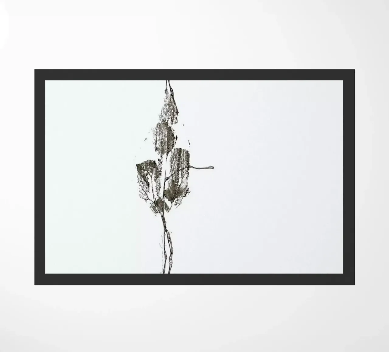 E zerbino da Marina Guiu