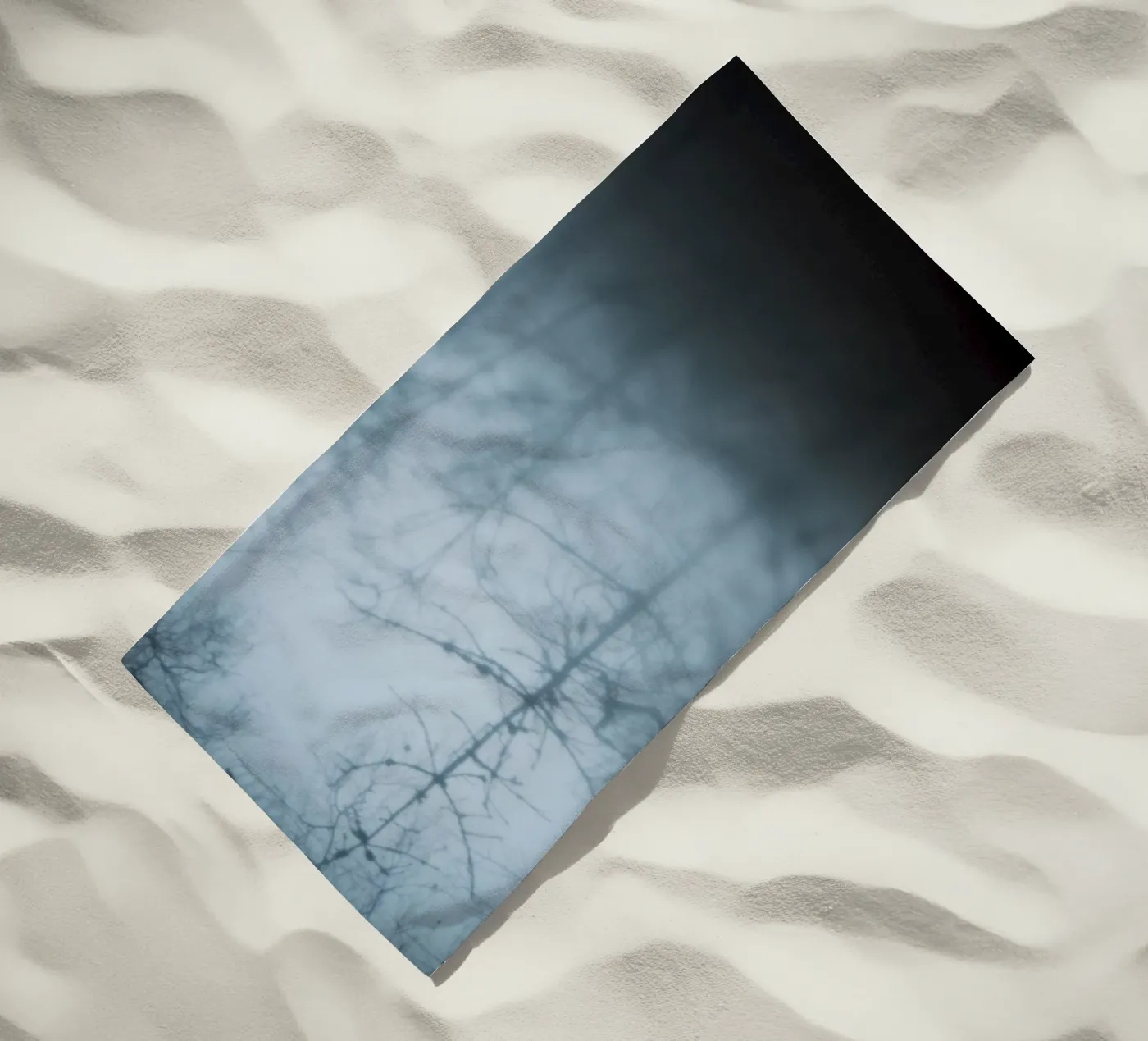 Naked Trees telo mare da Klaus with K